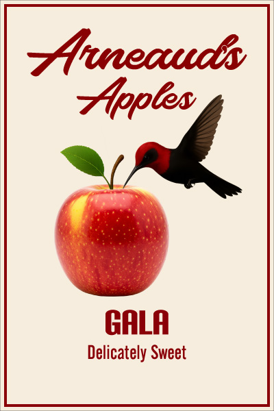 Gala